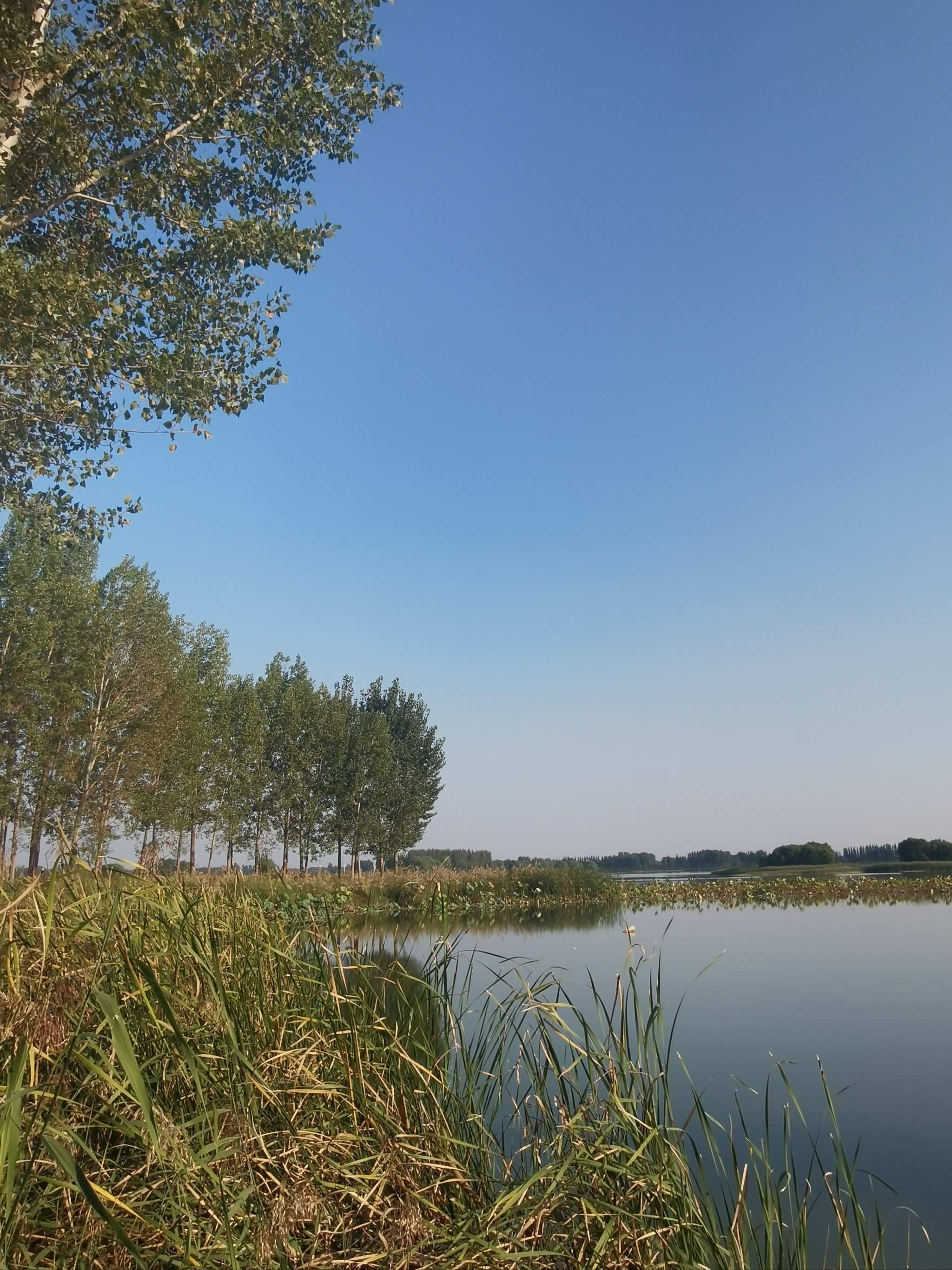 米兰体育APP官网-包含全国垂钓挑战赛，湖畔钓鱼的静谧时光的词条