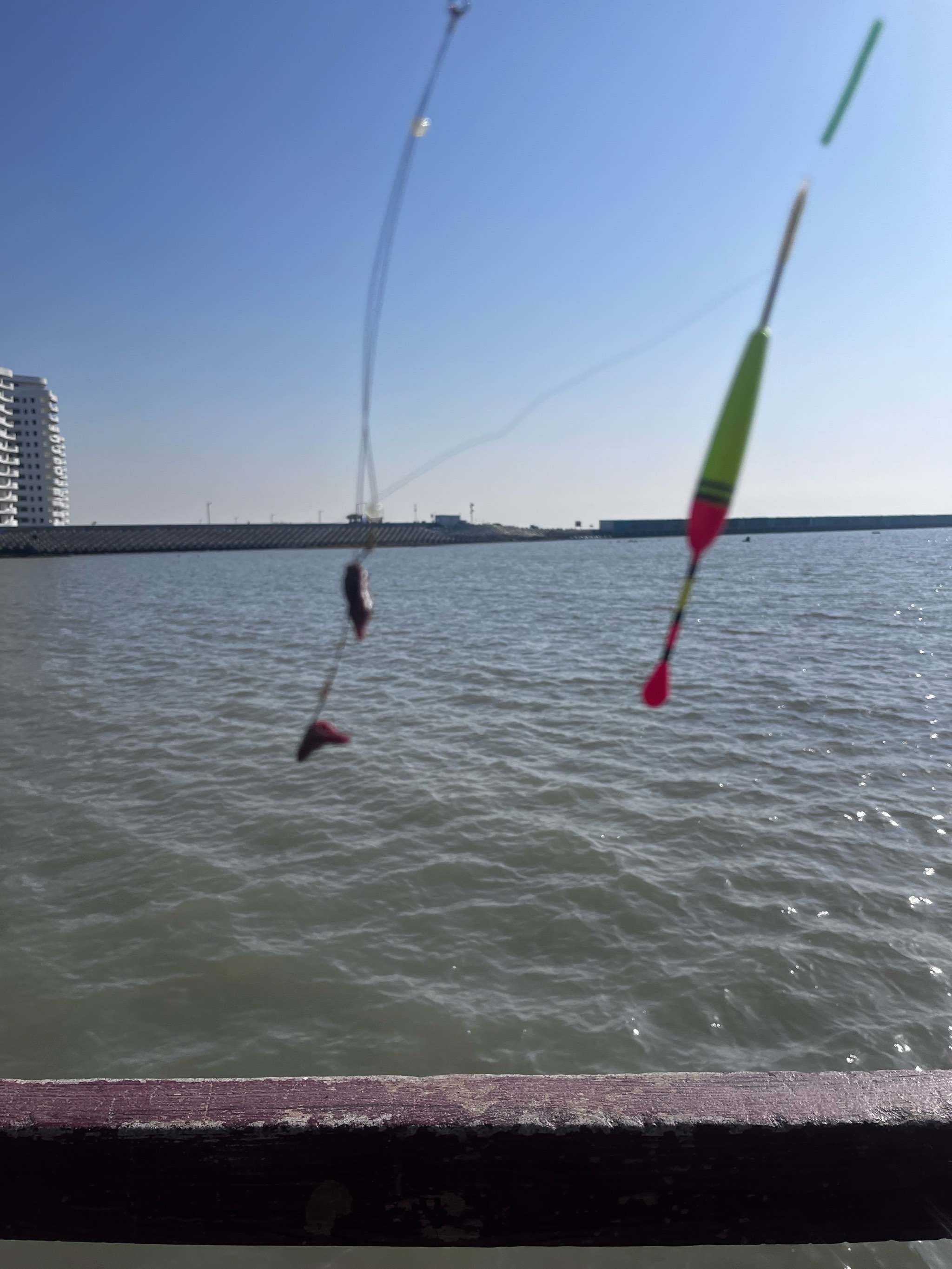 包含全国垂钓挑战赛，湖畔钓鱼的静谧时光的词条