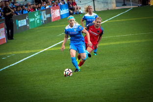 米兰体育APP官网-中国篮球职业联赛俱乐部财务风险管理，篮球俱乐部财务制度